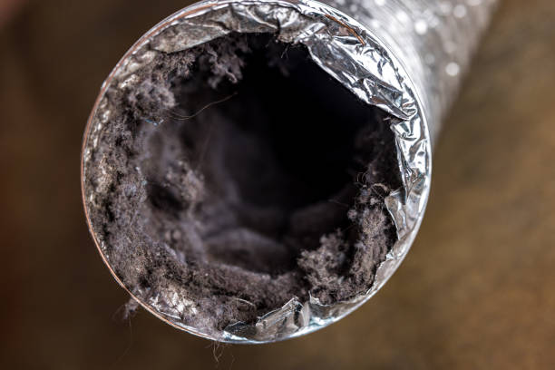 Best Air Duct Cleaning Company Near Me  in Sardis, MS